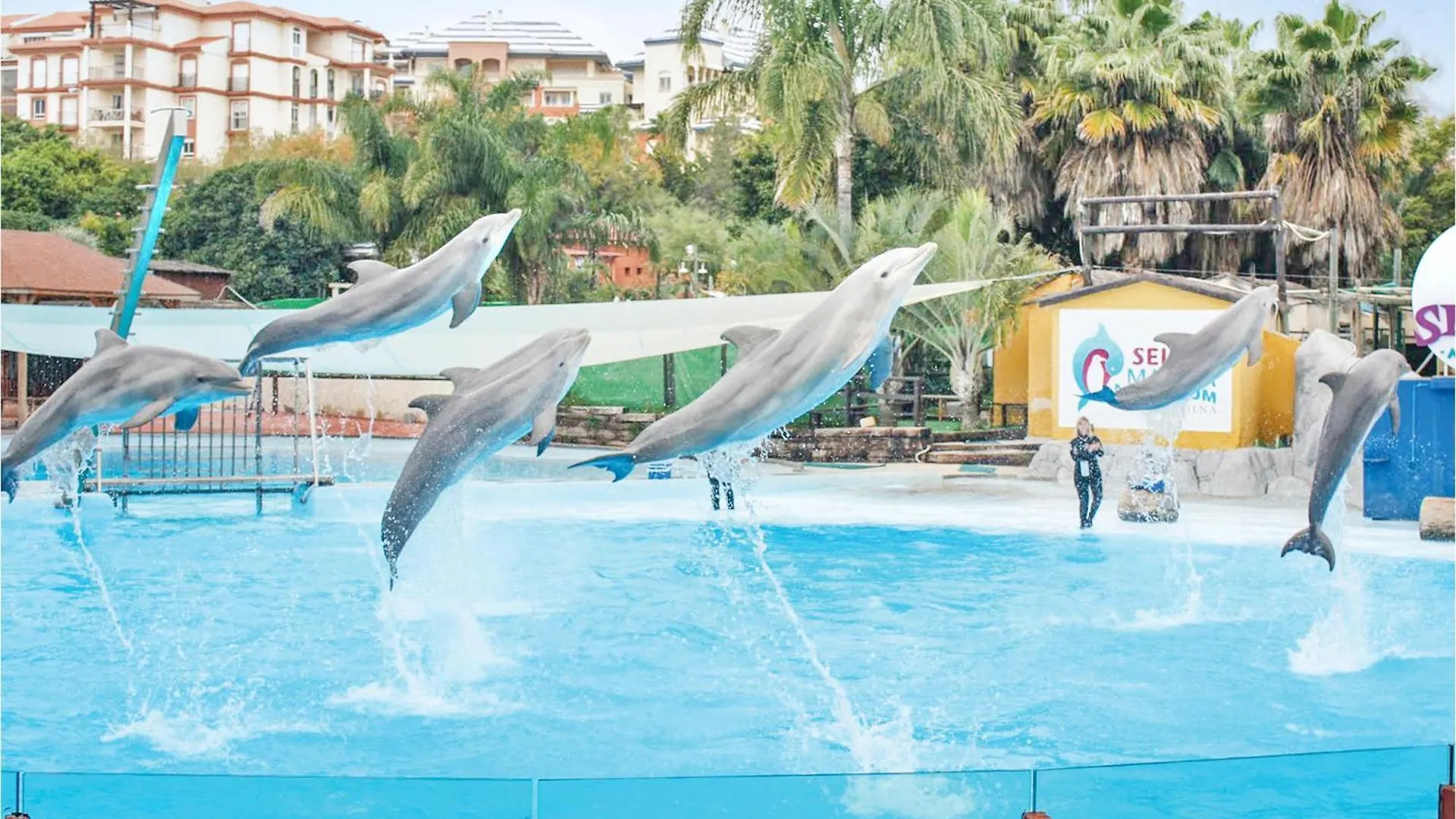 Villa Holivista Benalmadena Spain